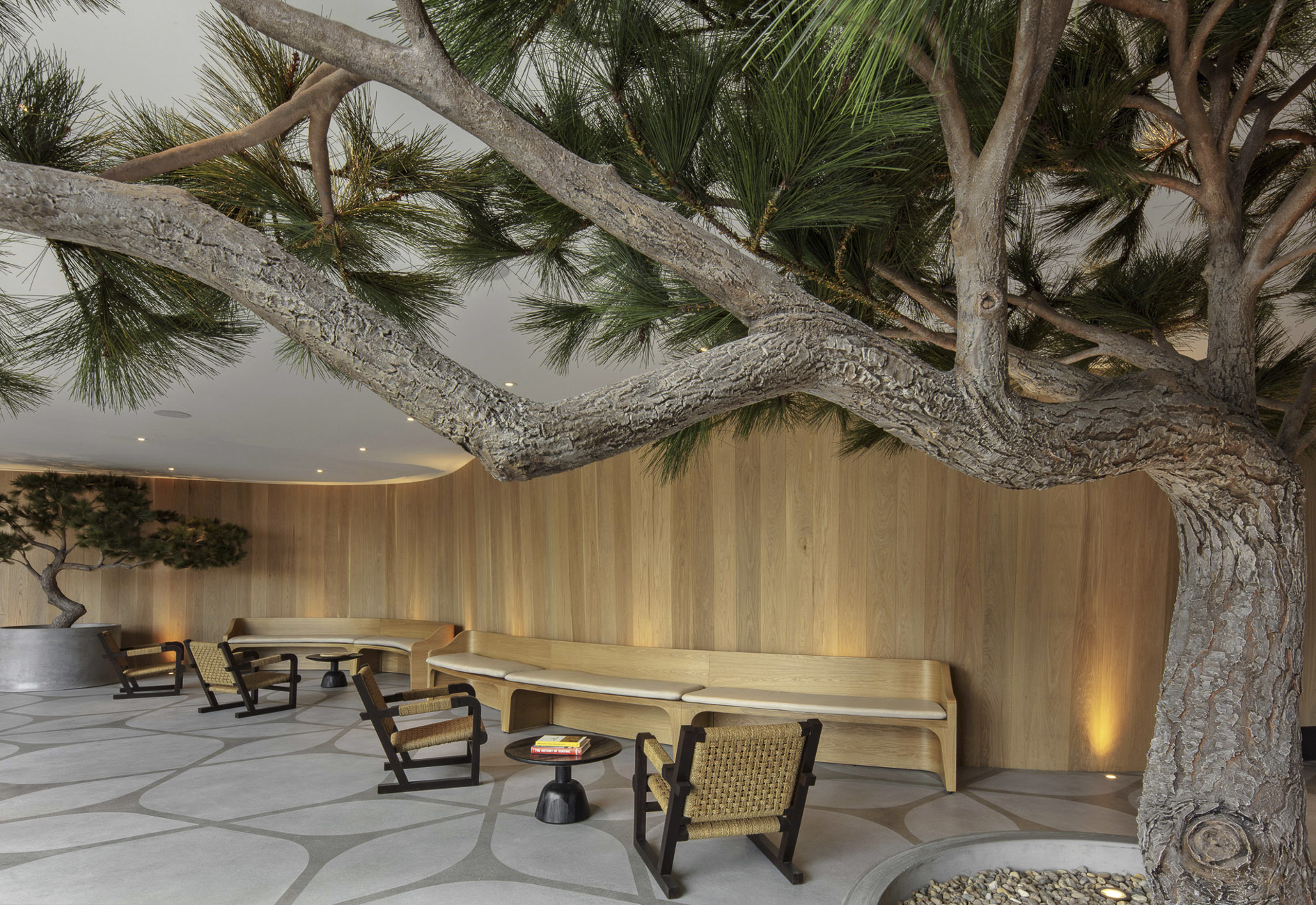 Alila Marea Beach Resort designed by Mark Zeff Design